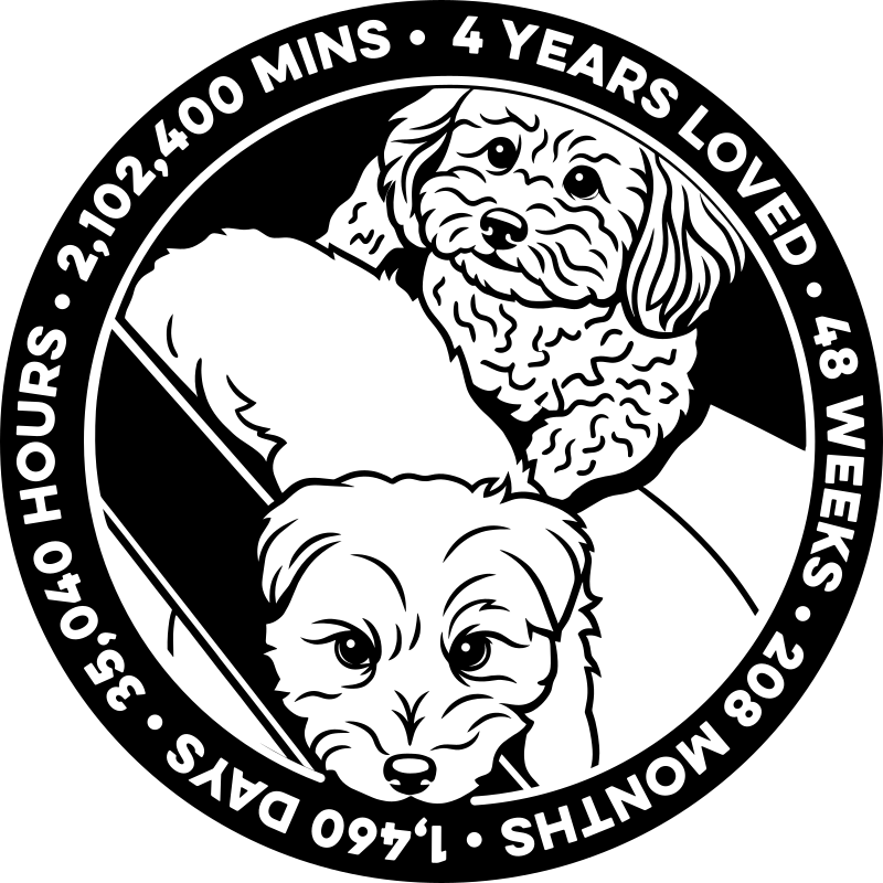 Example coin design